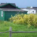 100_1156.jpg